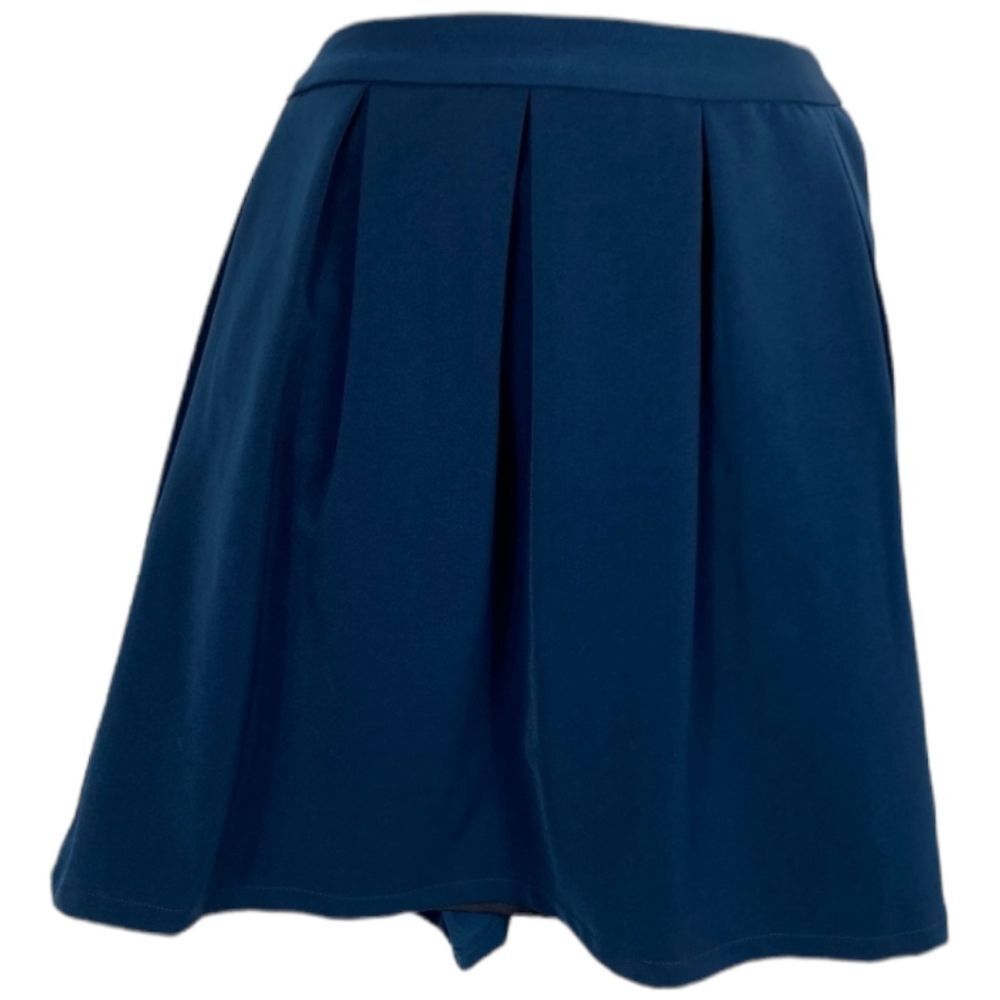 Shades of Grey by Micah Cohen blue pleated skirt Size Medium